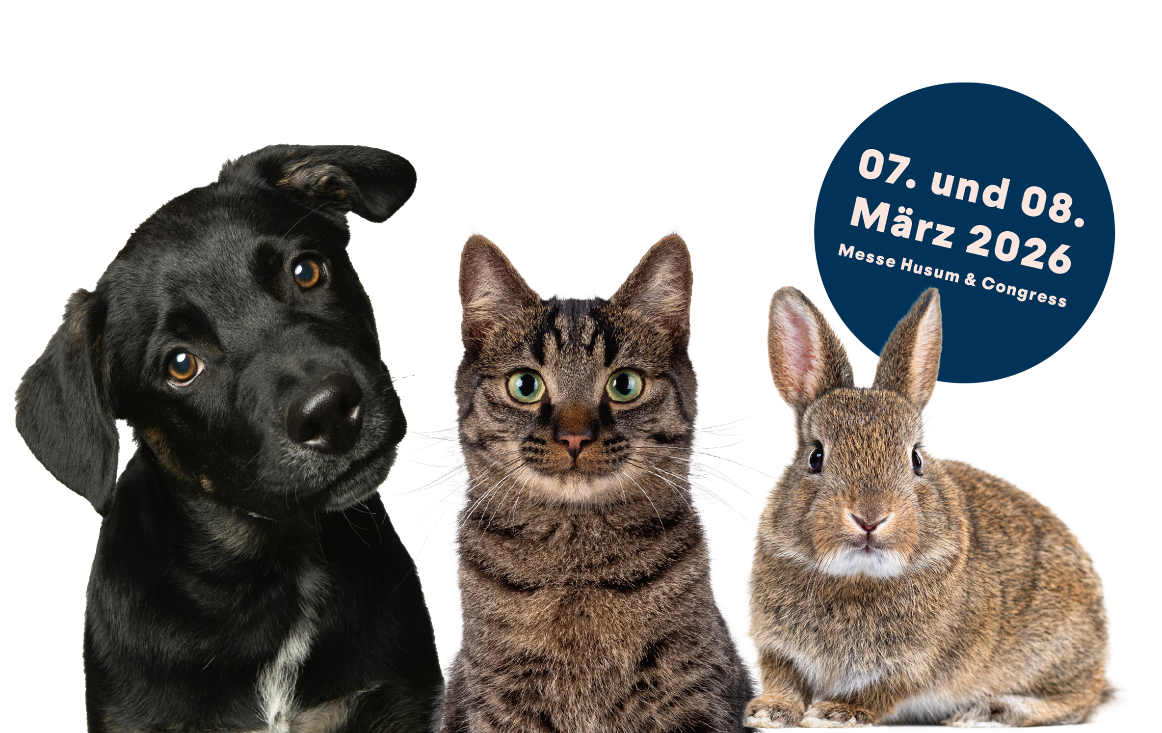 ff26-header-hero-stoerer